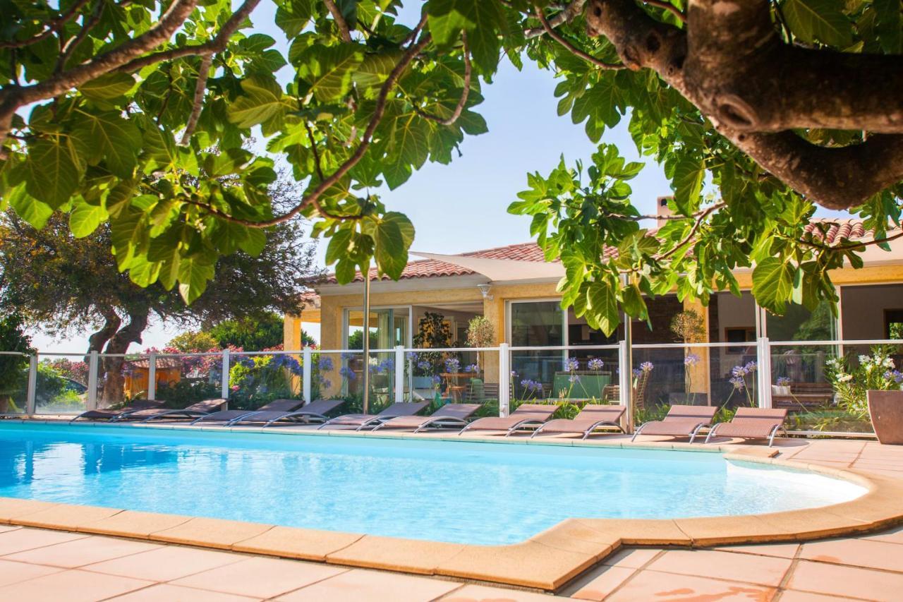 Maison Kiwi Avec Piscine Chauffee Terrasse Jardin Et Bbq A Calvi Calvi  Exterior photo